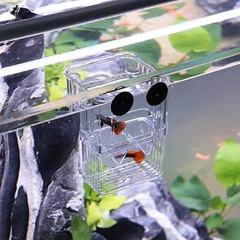 Amazon | ANGAOU® 多機能 魚 繁殖隔離ボックス 水槽 孵化 産卵箱